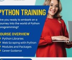 Python Course in Turkey